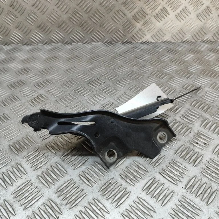 Motora pārsega eņģe (-es) 3G0823301