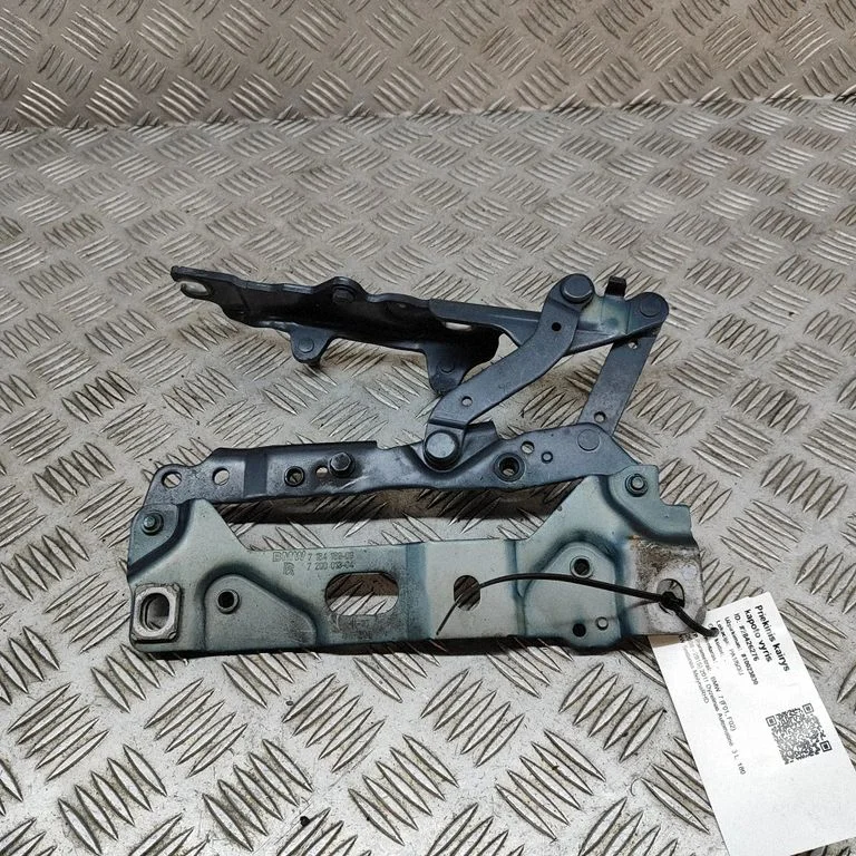 Motora pārsega eņģe (-es) 7200013