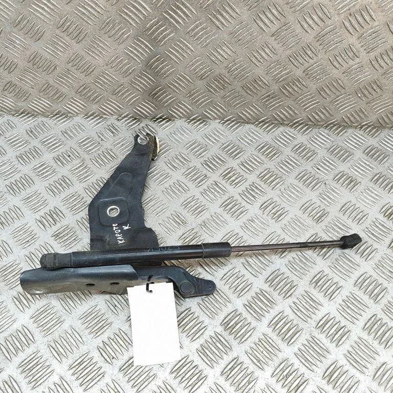Motora pārsega eņģe (-es) 7148346
