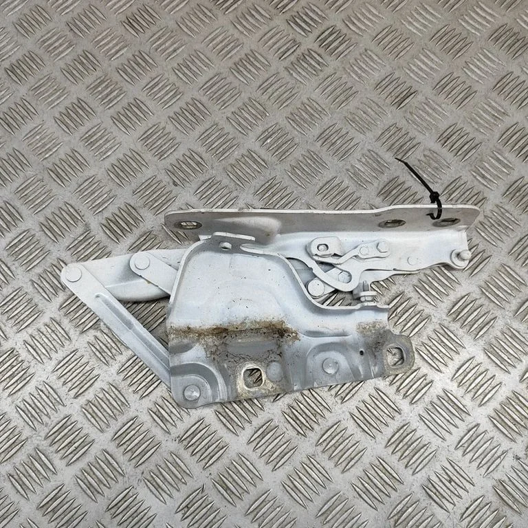 Motora pārsega eņģe (-es) GX7316801AE