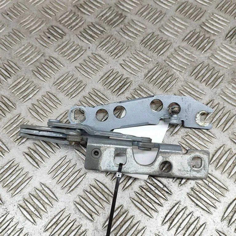 Motora pārsega eņģe (-es) 8203275
