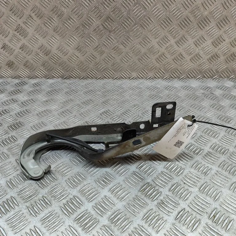 Motora pārsega eņģe (-es) 791348