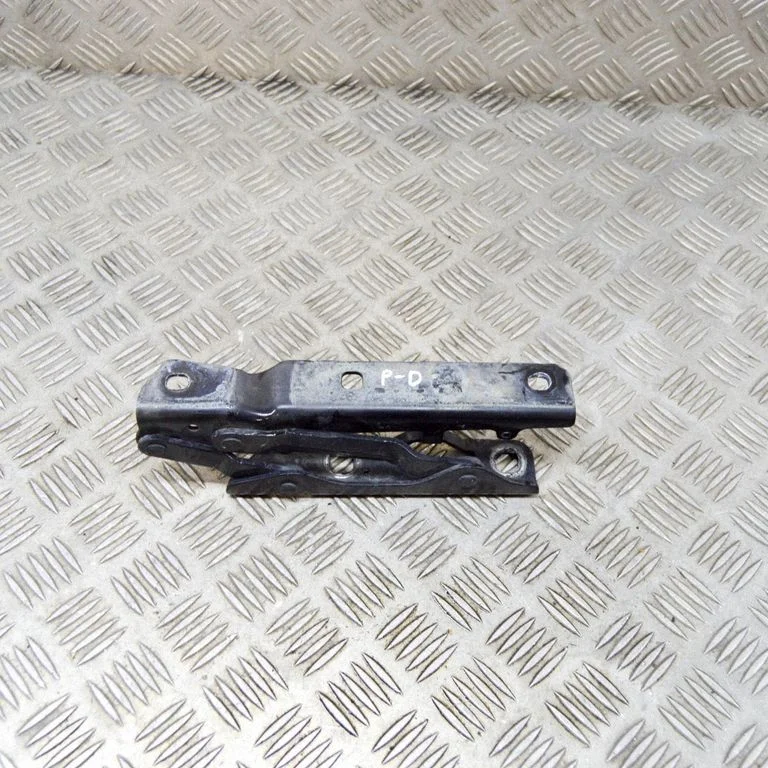Motora pārsega eņģe (-es) 600673700E