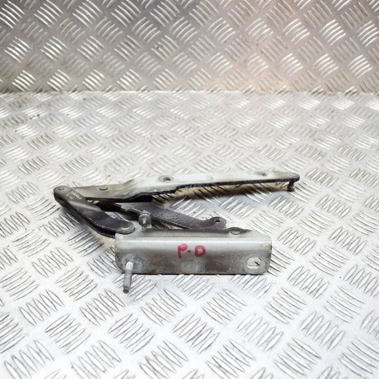 Motora pārsega eņģe (-es) 195XBA6A
