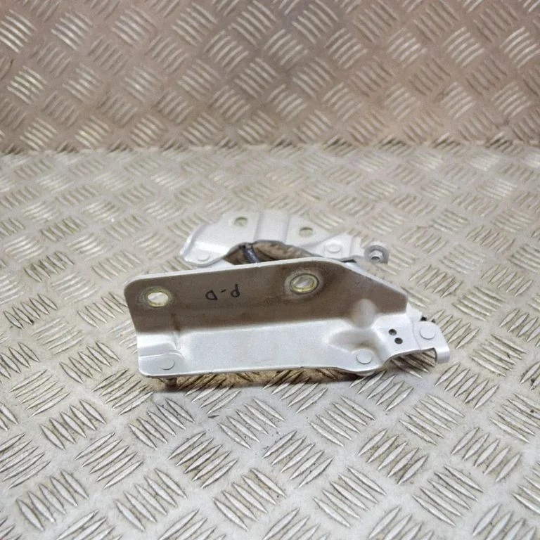 Vyris (-iai) variklio dangčio