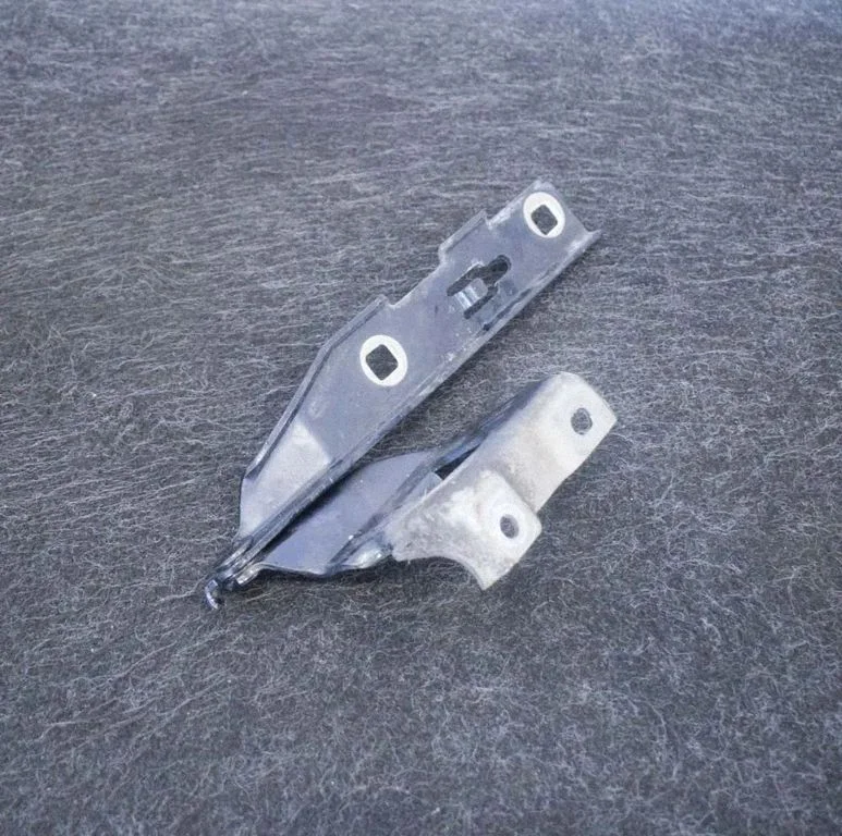 Motora pārsega eņģe (-es) 8T0823301D