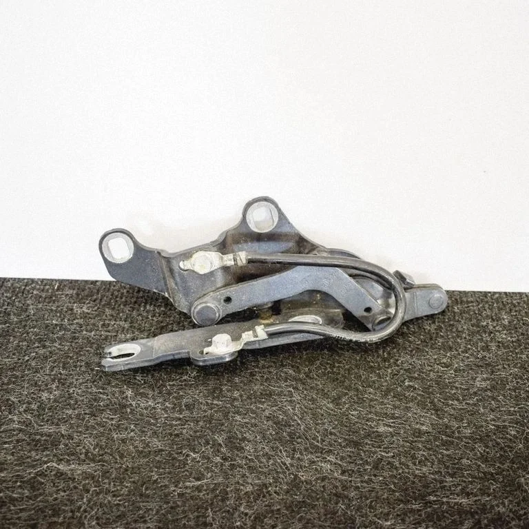 Motora pārsega eņģe (-es) 7115263