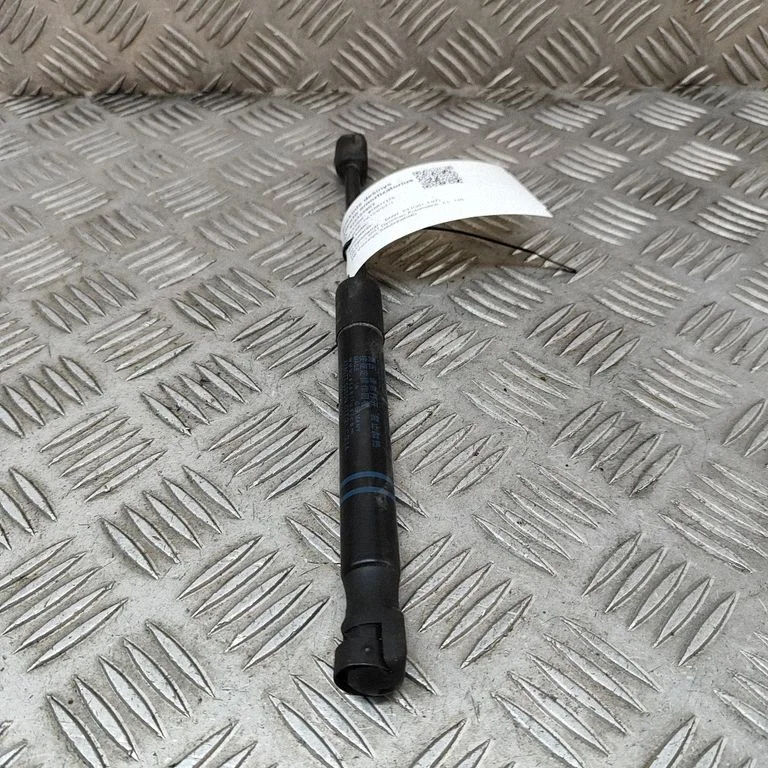 Siłownik maski 7397493