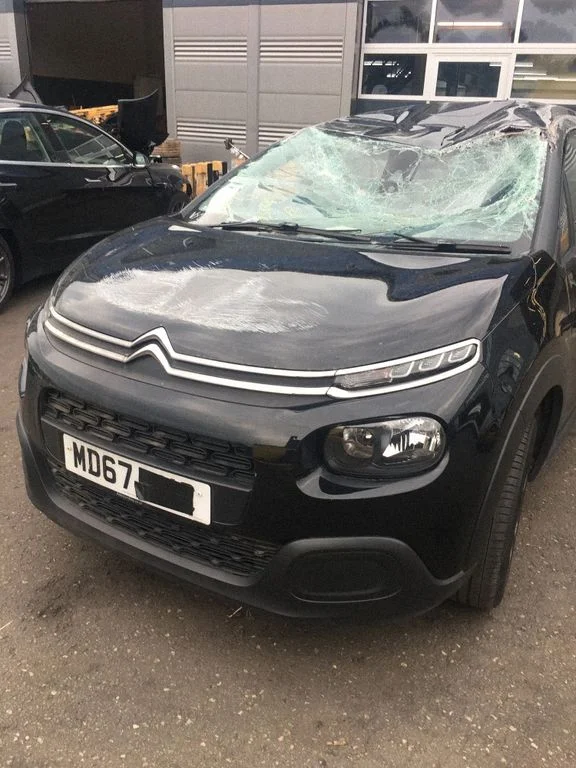Citroen C3, Pluriel, Picasso