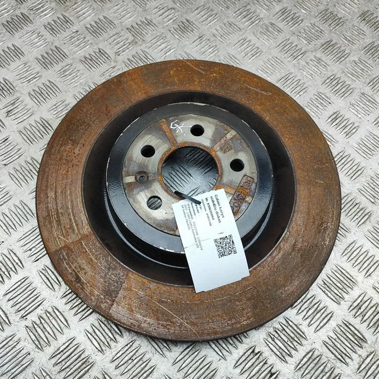 Rear brake disc 80007185