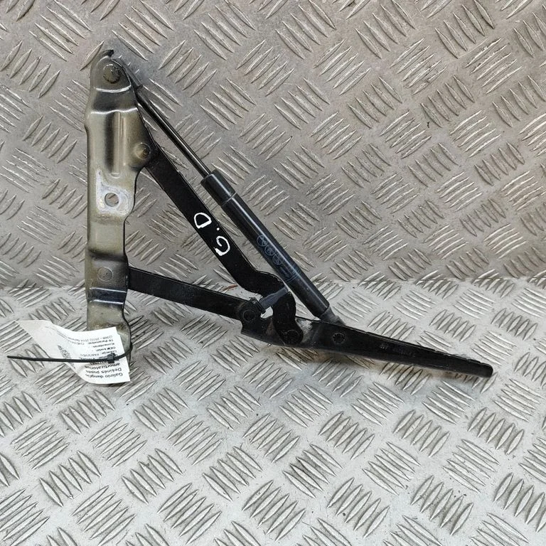 Tailgate/trunk/boot hinge