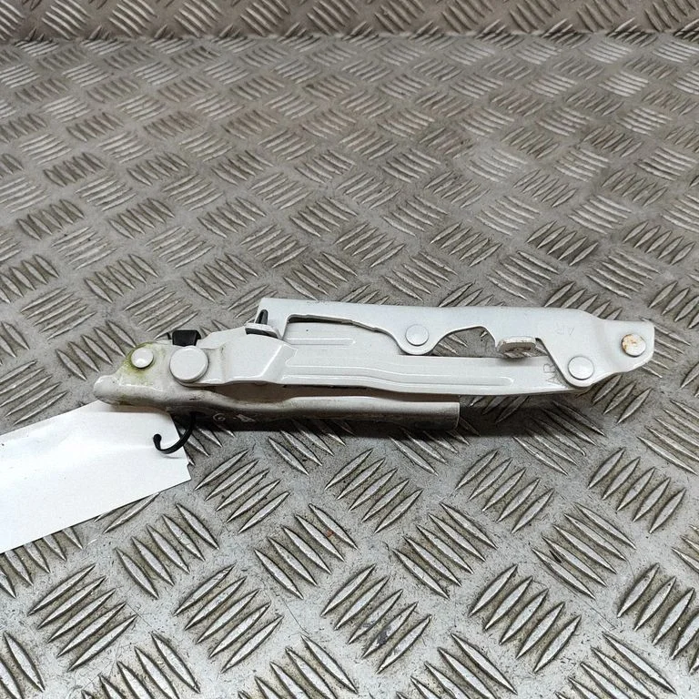 Tailgate/trunk/boot hinge SU00301460