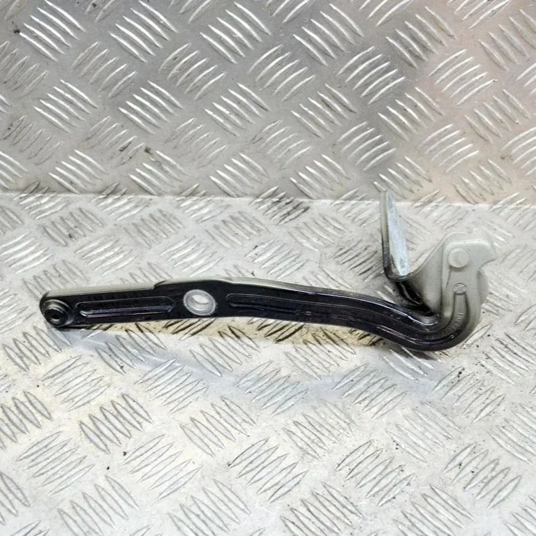 Aizmugurējā vāka eņģe (-es) 98751215201