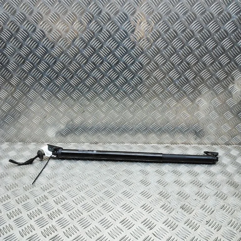 Tagaluugi gaasiamortisaator 905605MP1A