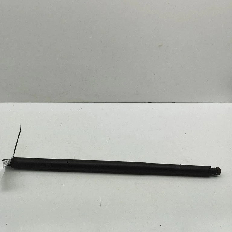 Tailgate/trunk strut/damper A1679800564