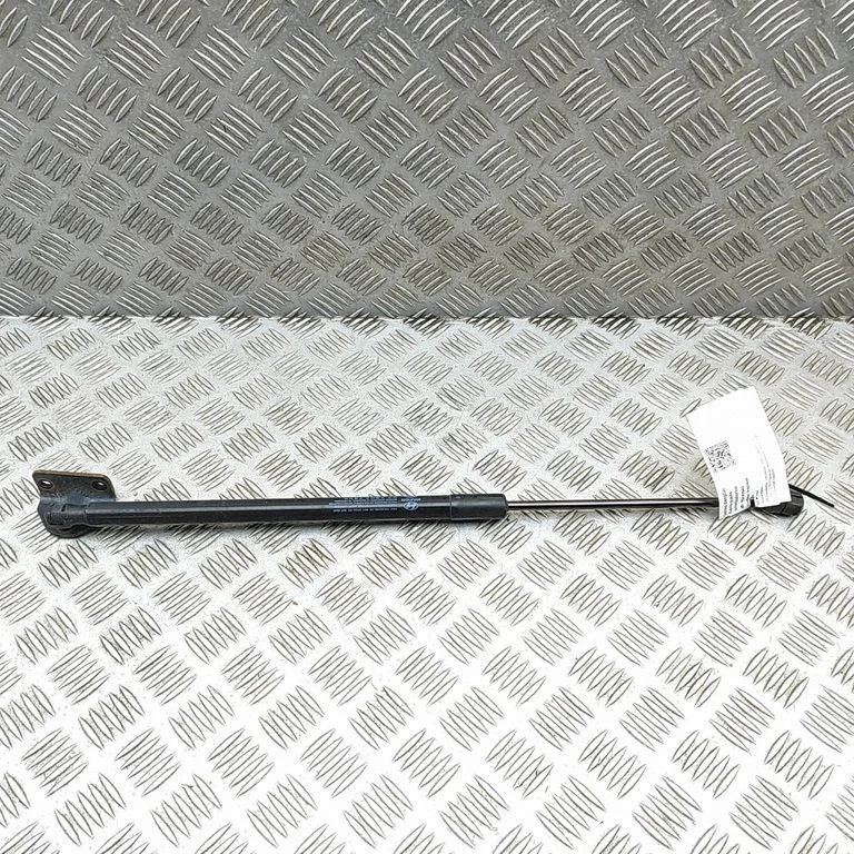 Amortizatorius galinio dangčio