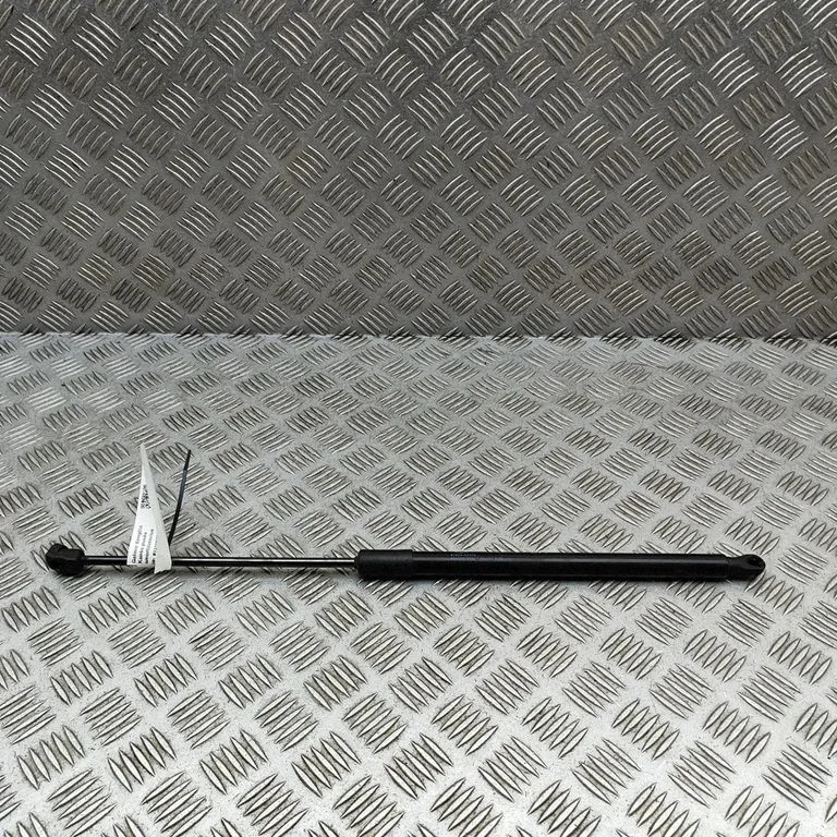 Tailgate/trunk strut/damper 81830R2000