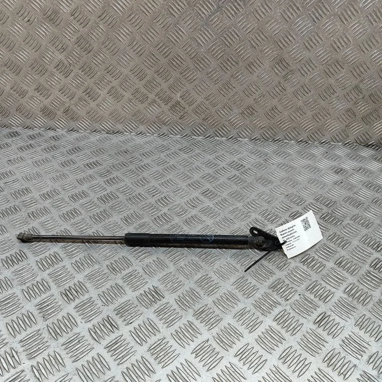 Amortizatorius galinio dangčio