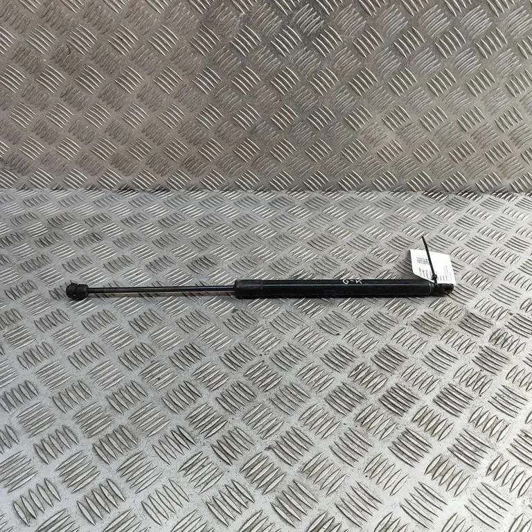 Tailgate/trunk strut/damper 5N0827550D