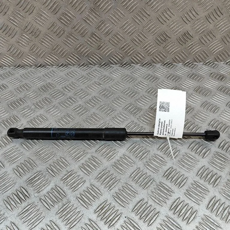 Tagaluugi gaasiamortisaator 9581810615N