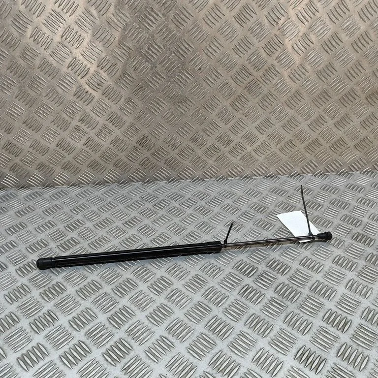 Tagaluugi gaasiamortisaator 904506PA0A