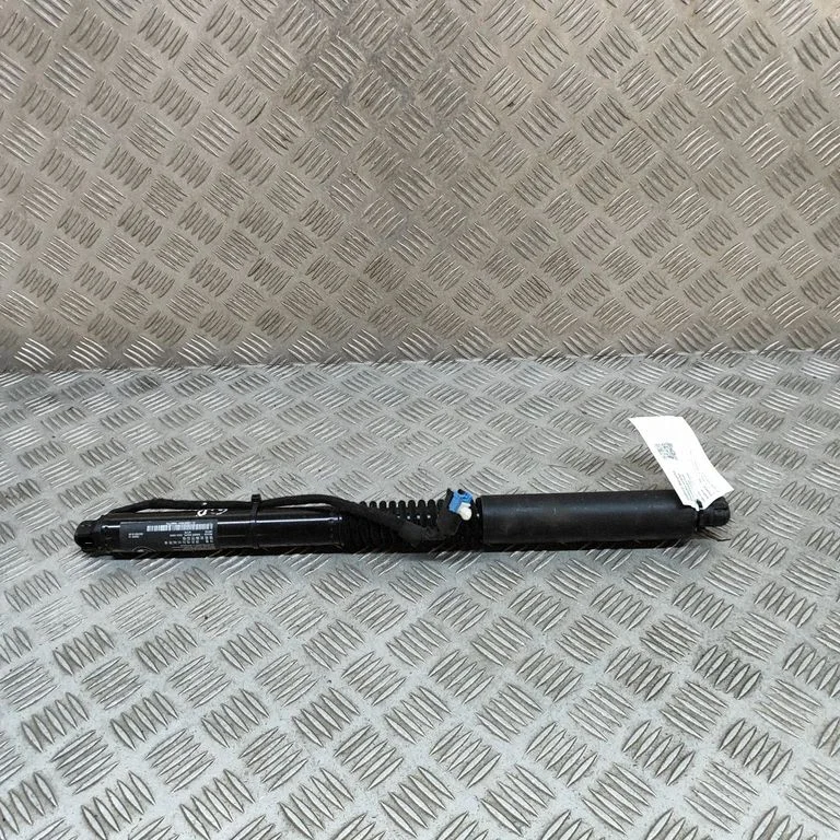 Amortizatorius galinio dangčio