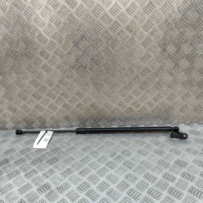 Tailgate/trunk strut/damper LJ8BR406A10AE