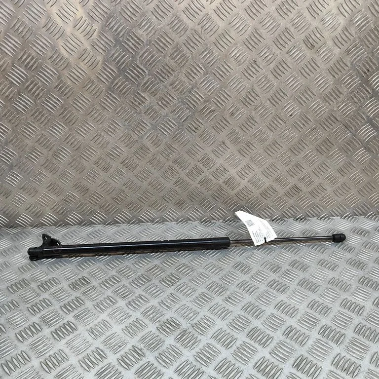 Tailgate/trunk strut/damper LJ8BR406A11AE