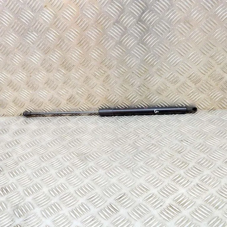 Tagaluugi gaasiamortisaator 68950F4062