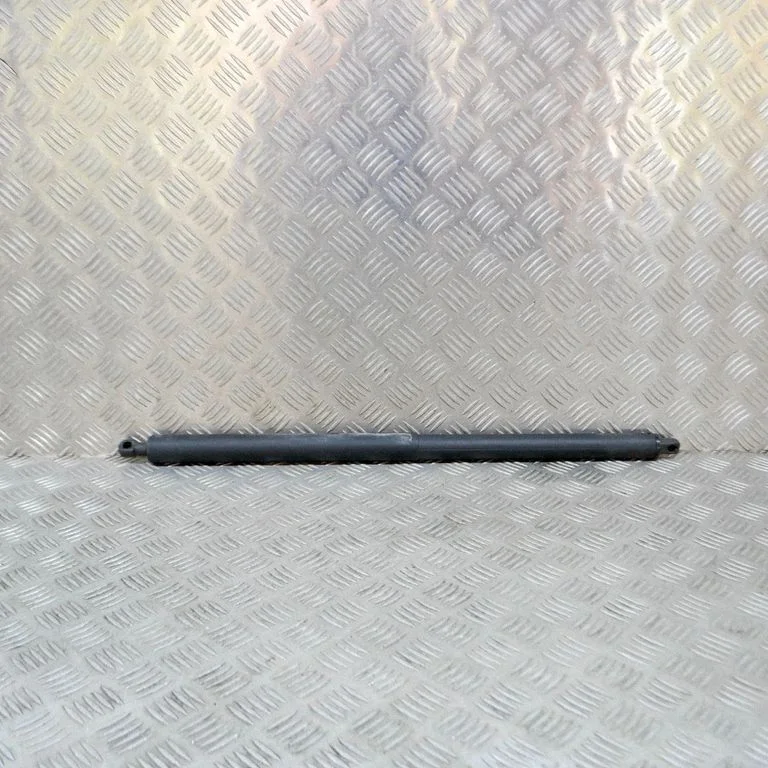 Aizmugurējā vāka amortizators 315005777