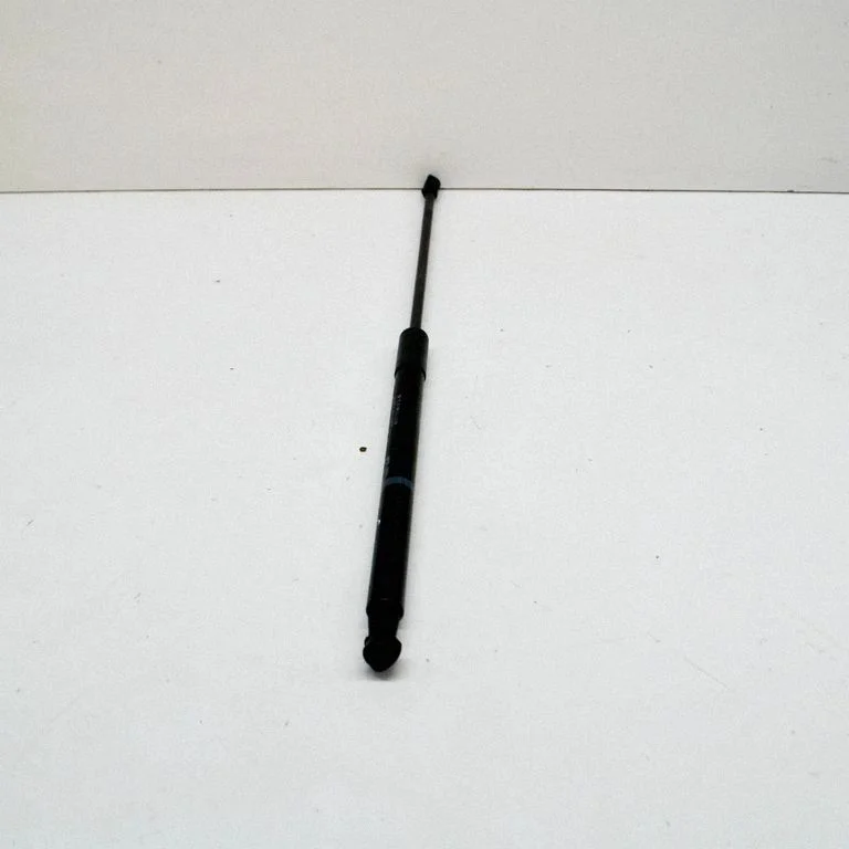 Tagaluugi gaasiamortisaator 689500W540