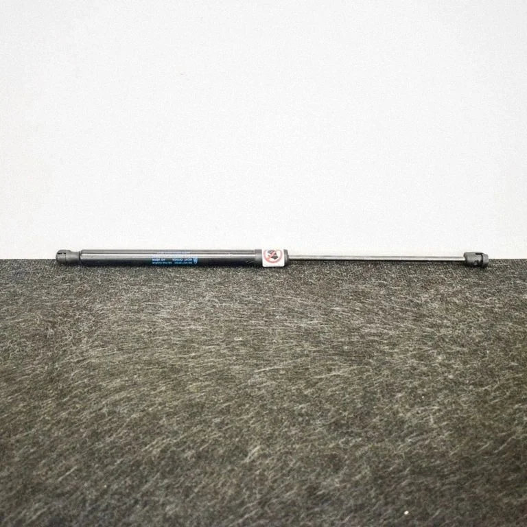 Tailgate/trunk strut/damper AV11R406A10AB