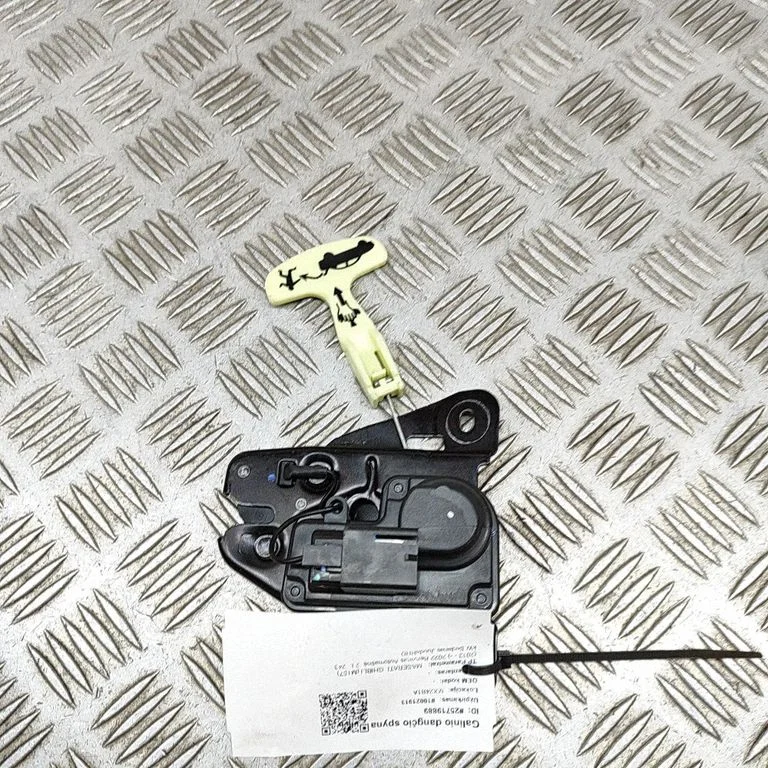 Aizmugurējā vāka slēdzene 670218706