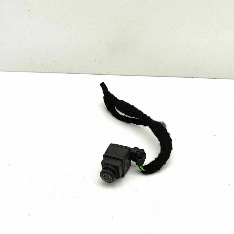 Reversing camera 0220000152