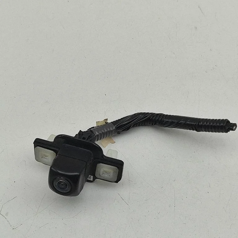 Reversing camera – Toyota RAV 4 (XA50) (2018-)