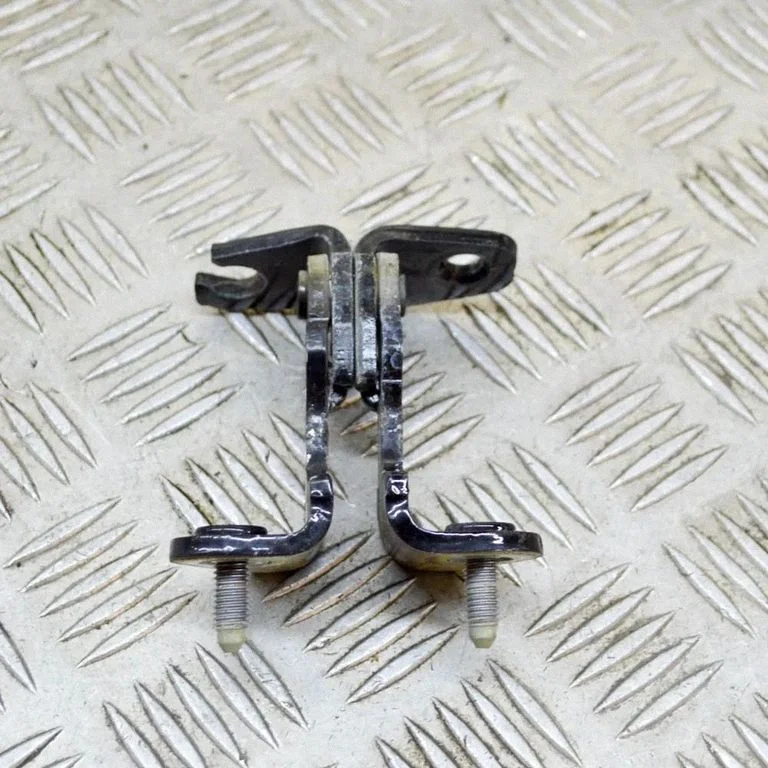Rear door lower hinge – left