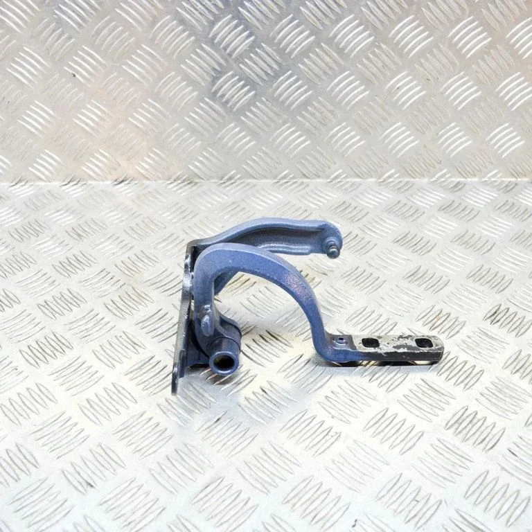 Rear door lower hinge 1037844