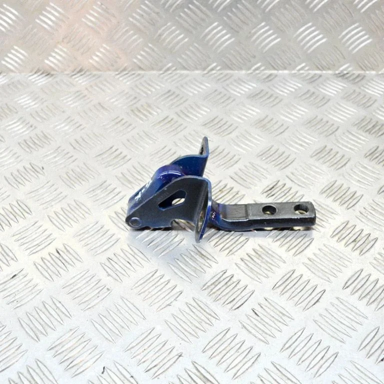 Rear door lower hinge 1009722