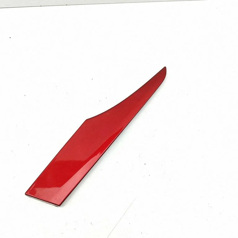 Sāna apdare (aizmugurējā) N243R1381