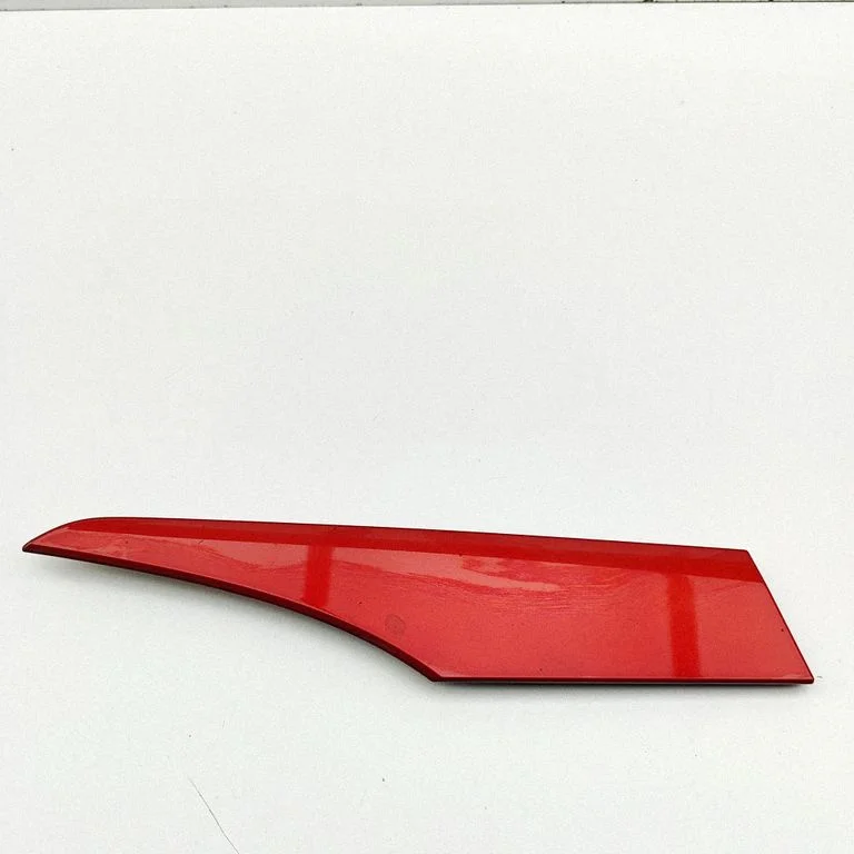 Sāna apdare (aizmugurējā) N243R1381