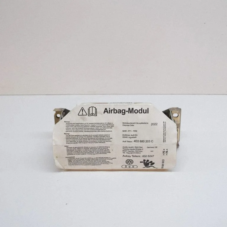 Passenger airbag 600664100D