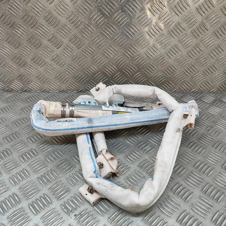 Roof airbag 95B880741
