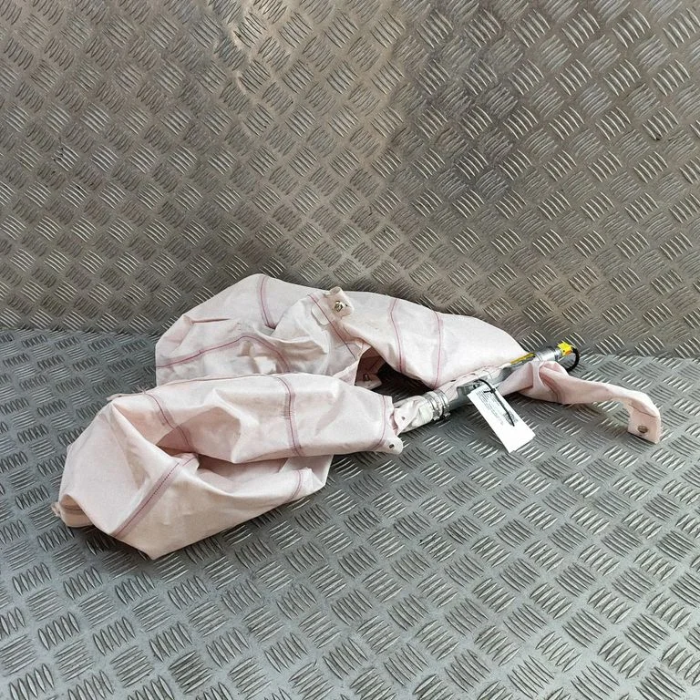 Roof airbag 95B880741A