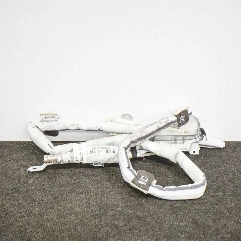 Roof airbag H15084601