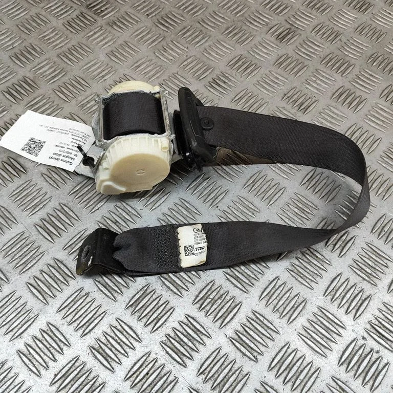 Aizmugurējā drošības josta 22859623