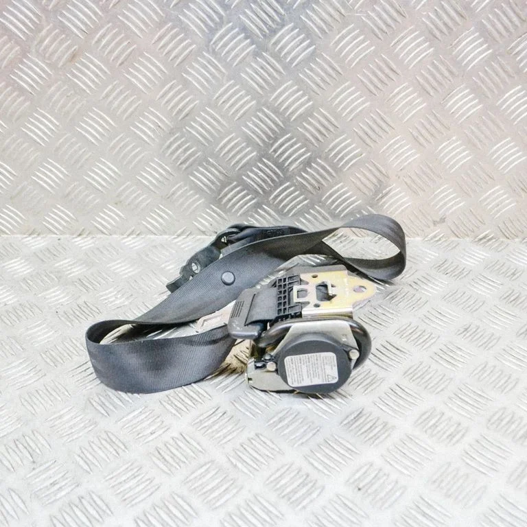 Aizmugurējā drošības josta 193857737A