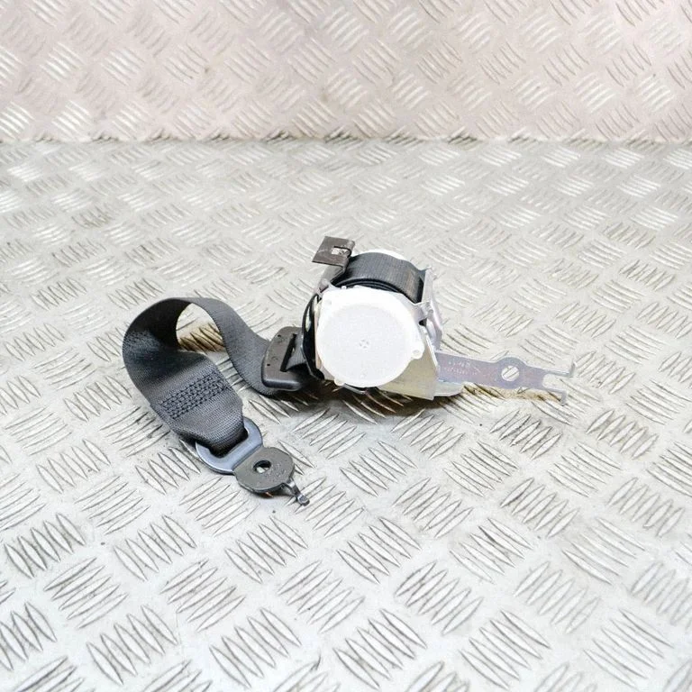 Aizmugurējā drošības josta 33061254B