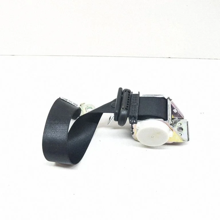 Rear seatbelt 7918753