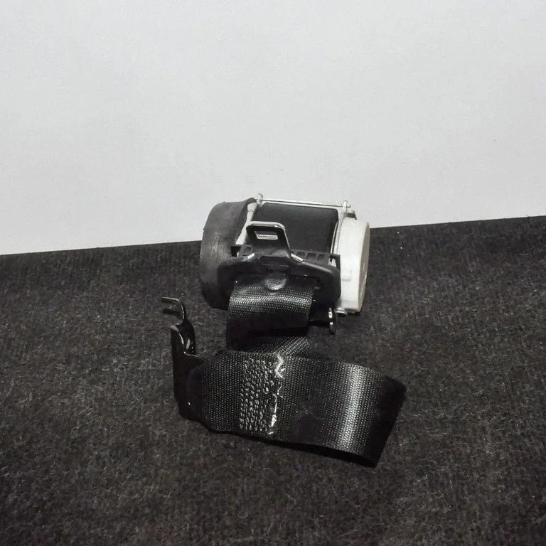 Tagumine turvavöö 33028136P34104208C