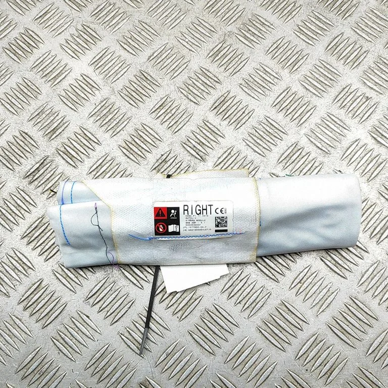 Sēdekļa drošības spilvens 107783000F